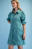 Midnight Stitch Button Front Denim Dress
