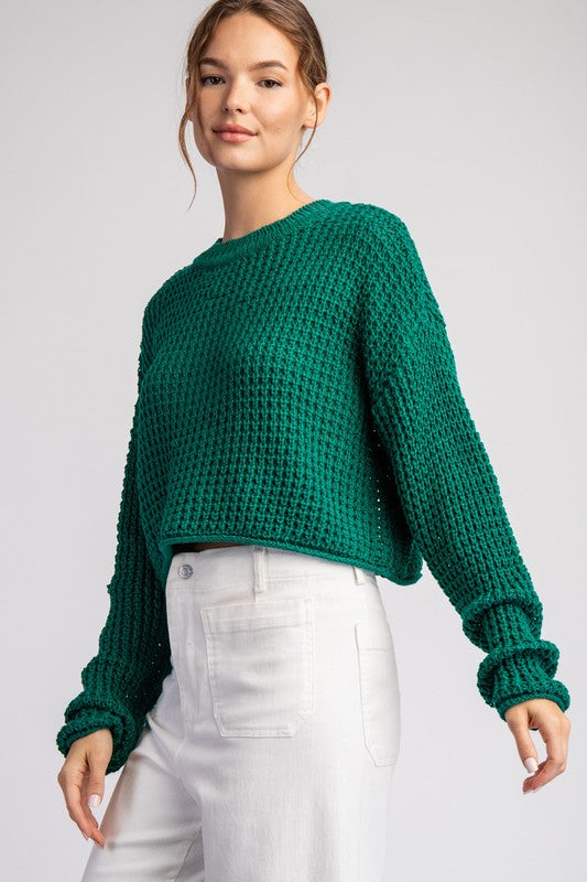 Solid Long Sleeve Knit Cropped Sweater Top