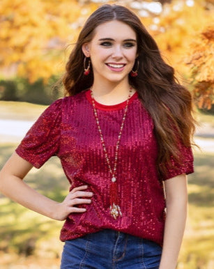 Vertical Sequin Stripe Short Sleeve Top - Burgundy